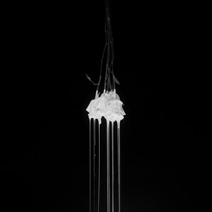 Speaker for the Dead