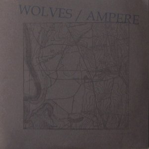 Wolves / Ampere