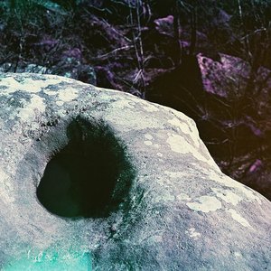 A Strange Study On Honesty