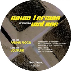Radikal Floor  Voltfunk
