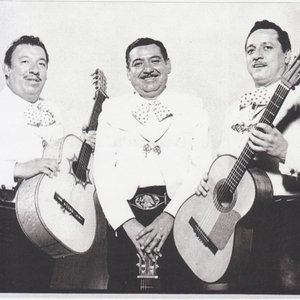 Trío Tariácuri 的头像