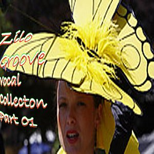 Zilo Groove Vocal Collection Part 1