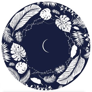 Clair de Lune