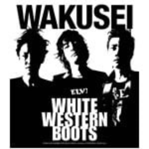 White Western Boots
