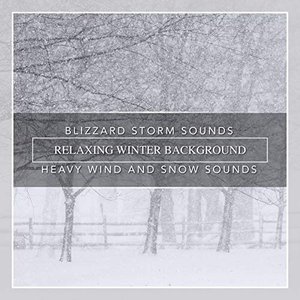 Blizzard Storm Sounds, Relaxing Winter Background, Heavy Wind and Snow Sounds