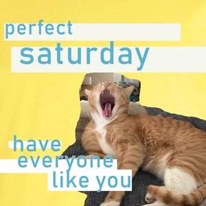 Have Everyone Like You