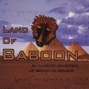 Land of Baboon, Volume 1: An Illclectic Compilation