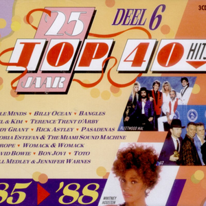 Bill Medley & Jennifer Warnes - 25 Jaar Top 40 Hits deel 6 - Zortam Music