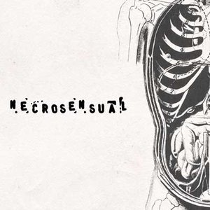 Necrosensual