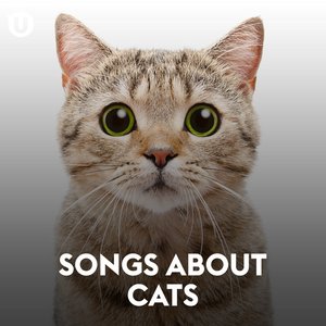 Songs About Cats