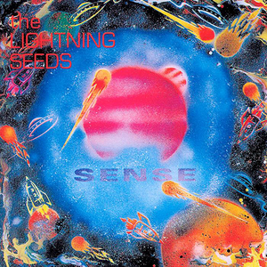 Sense cover