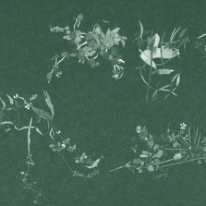 Klaus Filip photo provided by Last.fm