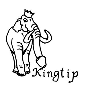 Kingtip 的头像