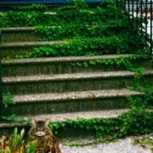 The World Class Art Thieves 的头像