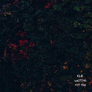 Waiting for You - Single
