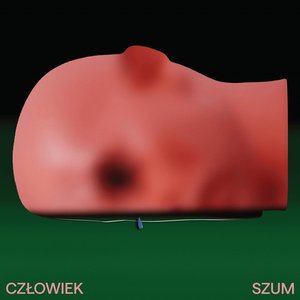 Szum