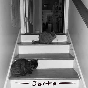 Jorts