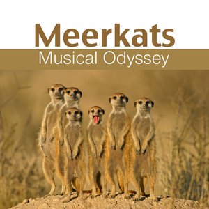 Meerkats Musical Odyssey