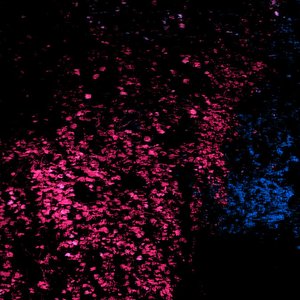 tetravoid 的头像
