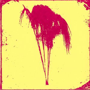 Softened Skull