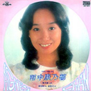雨中康乃馨