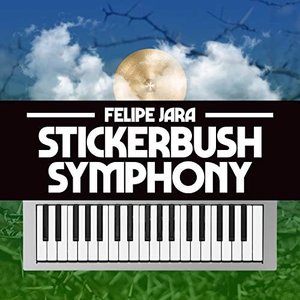 Stickerbush Symphony (From "Donkey Kong Country 2")