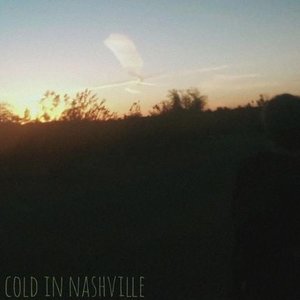 Cold in Nashville