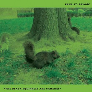 Image for 'The Black Squirrels are Cameras'