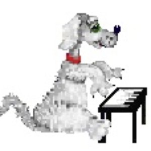 Image for 'Piano Dog'