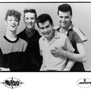 Polecats photo provided by Last.fm