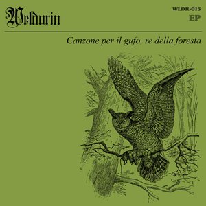 Image for 'Canzone per il gufo, re della foresta'