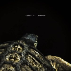 Antifragility
