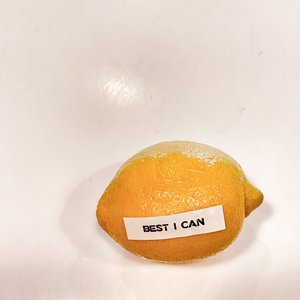 Best I Can - Single