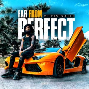 Image for 'Far from Perfect [Explicit]'