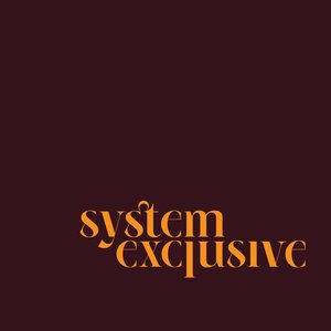 System Exclusive