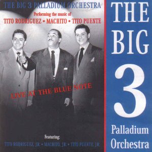 Immagine per 'The Big 3 Palladium Orchestra'