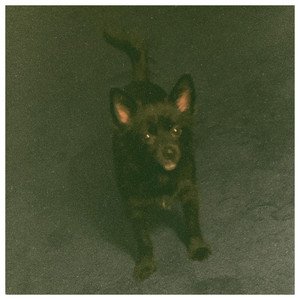This Is About Summer - Single