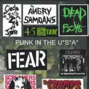 Punk In The U*S*A*