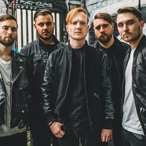 Mallory Knox 的头像