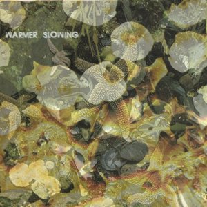 warmer slowing