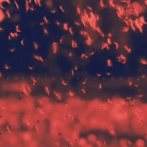 Avatar di Softlightsymphony