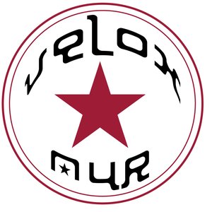 VELOX NUR 的头像