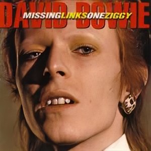 MissingLinksOneZiggy