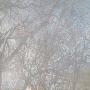 Celtic Harp, Vol. 3 - Soothing Celtic Music to Calm and Relax