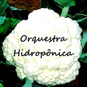 Avatar for Orquestra Hidropônica