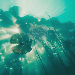 Never Forget the Sea - Single