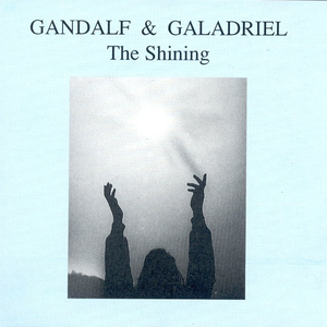 The Shining cover