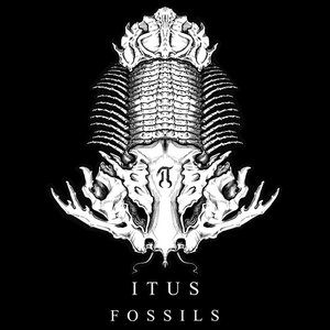 Fossils