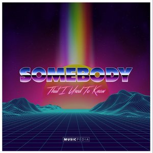 Somebody That I Used To Know (Remix)