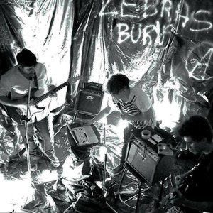Zebras Burns 的头像